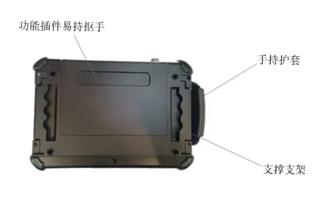 背视图